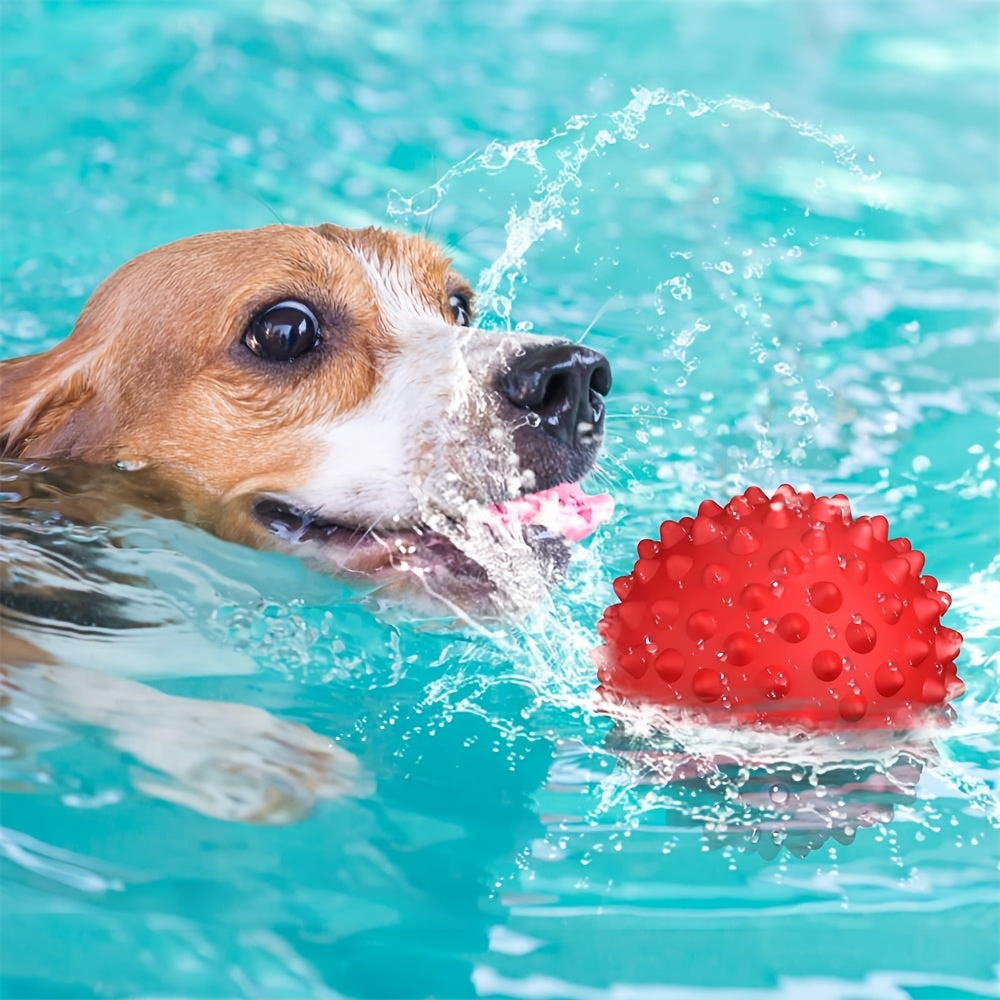 2pcs Squeaky Rubber Dog Balls for Large Breeds