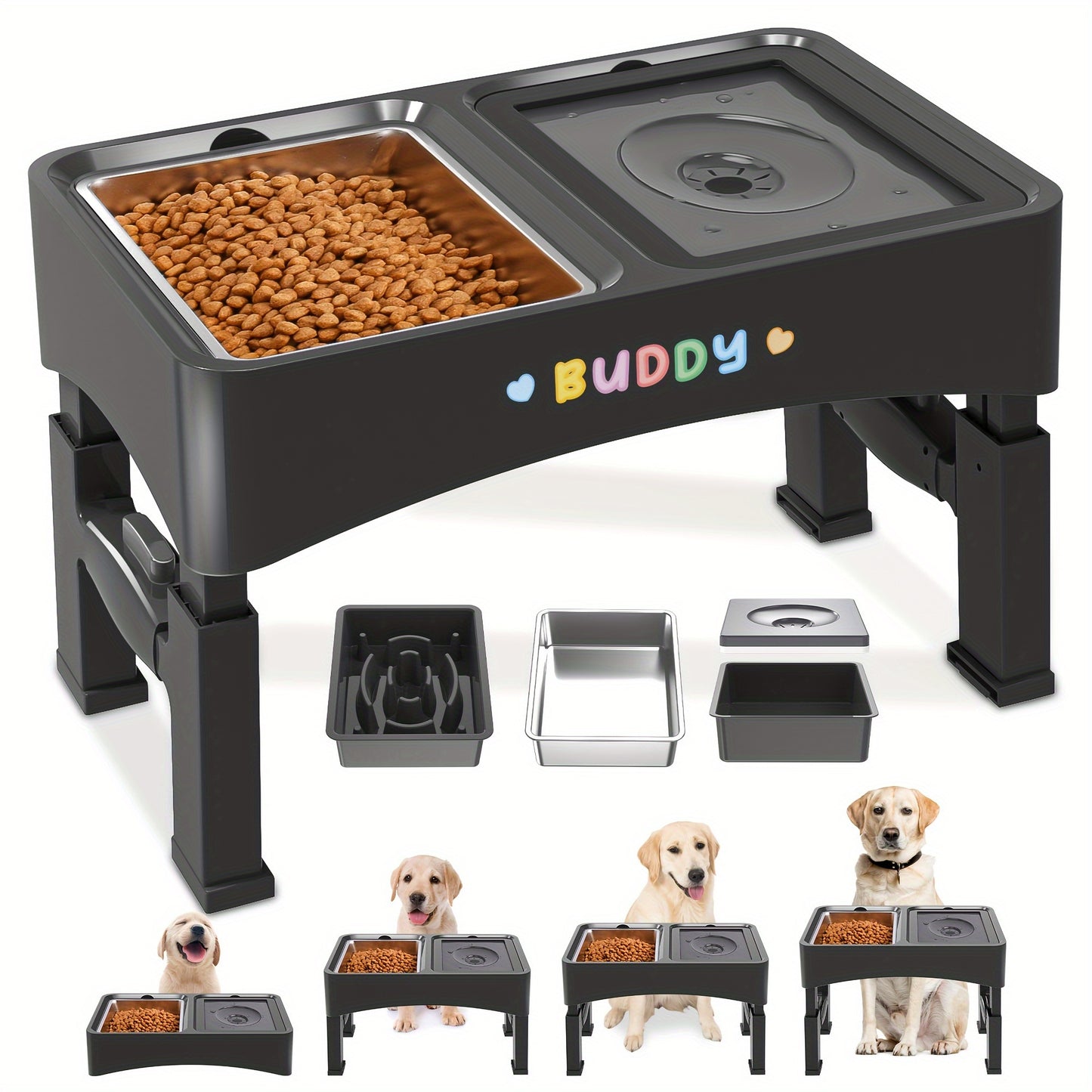 Elevated Food & No-Spill Water Bowl Set