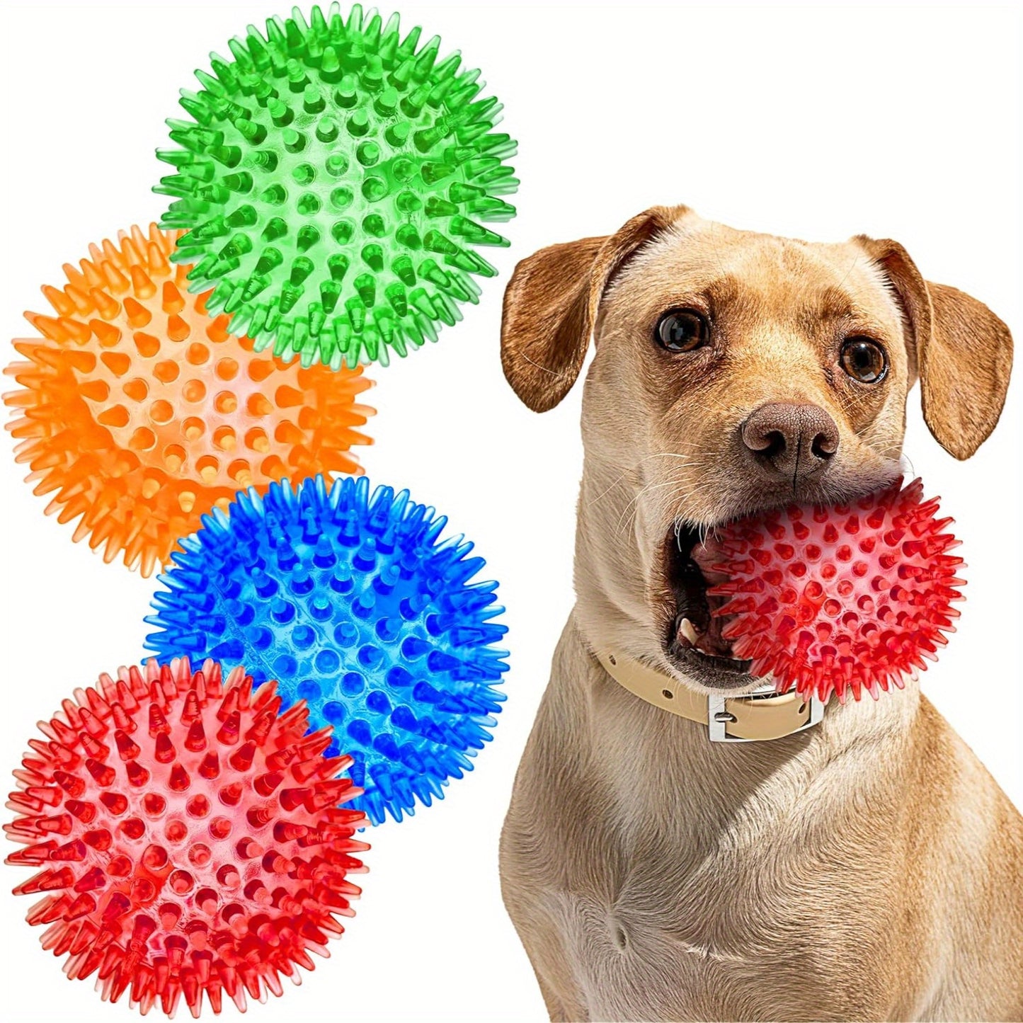 6 Pack Large Spiky Durable Squeaky Dog Toys