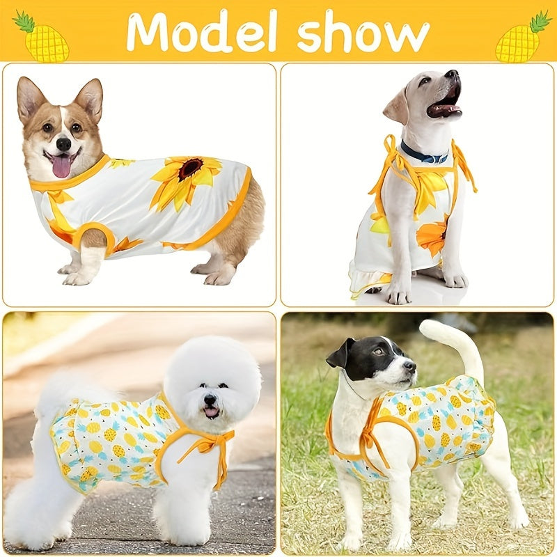 Lovely Fruit Flower Dog Dress