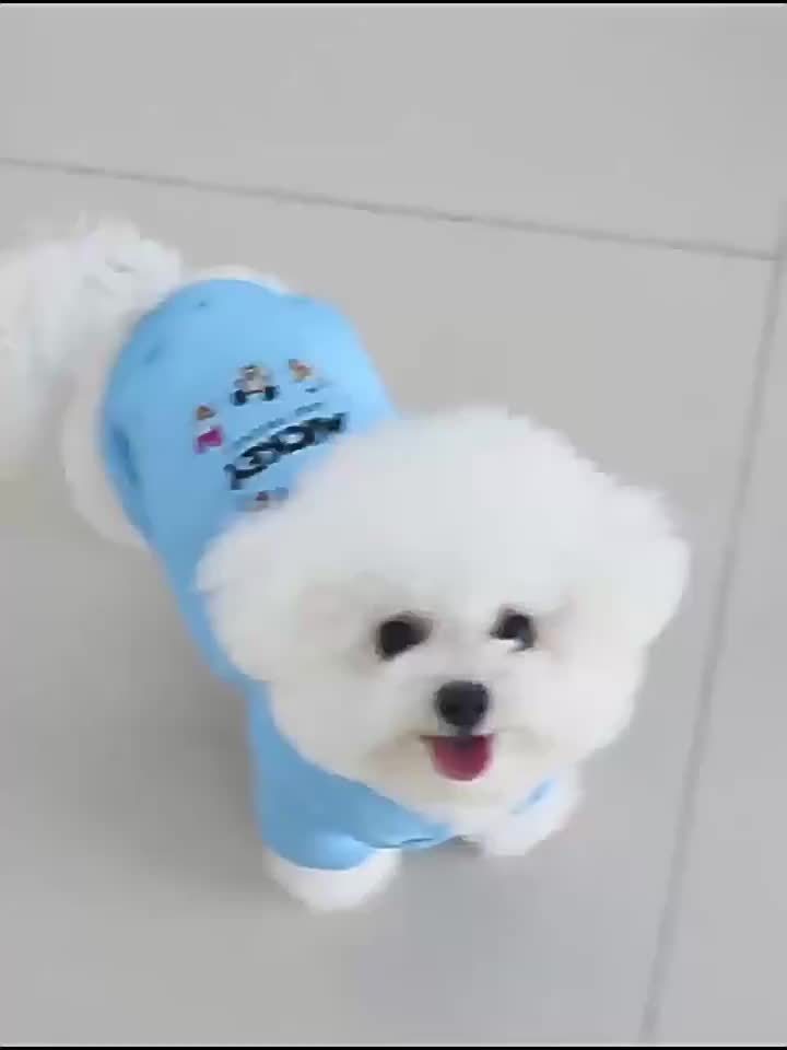 3pcs Set Cozy Hooded Sweatshirt