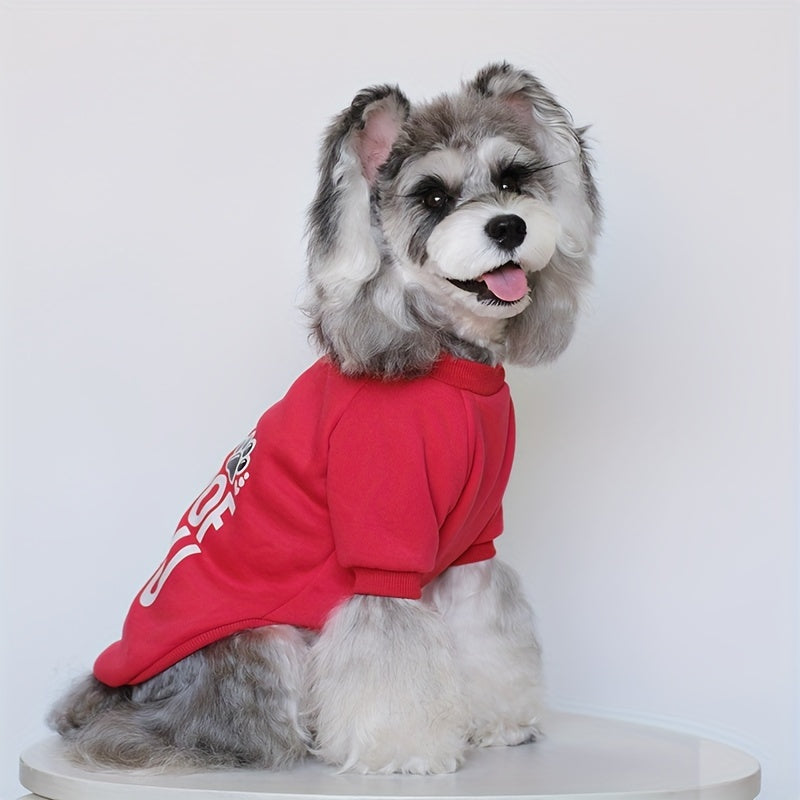 Autumn Plus Velvet Dog Sweater Set