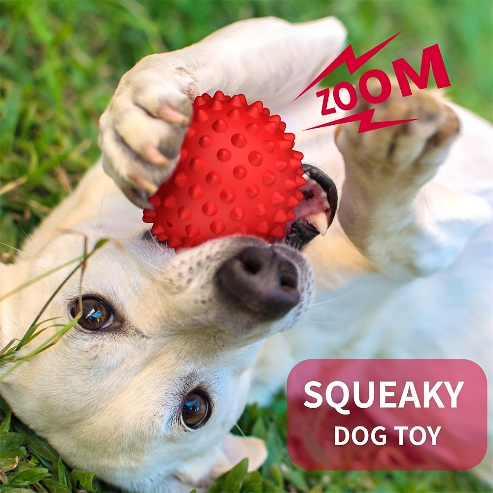 2pcs Squeaky Rubber Dog Balls for Large Breeds