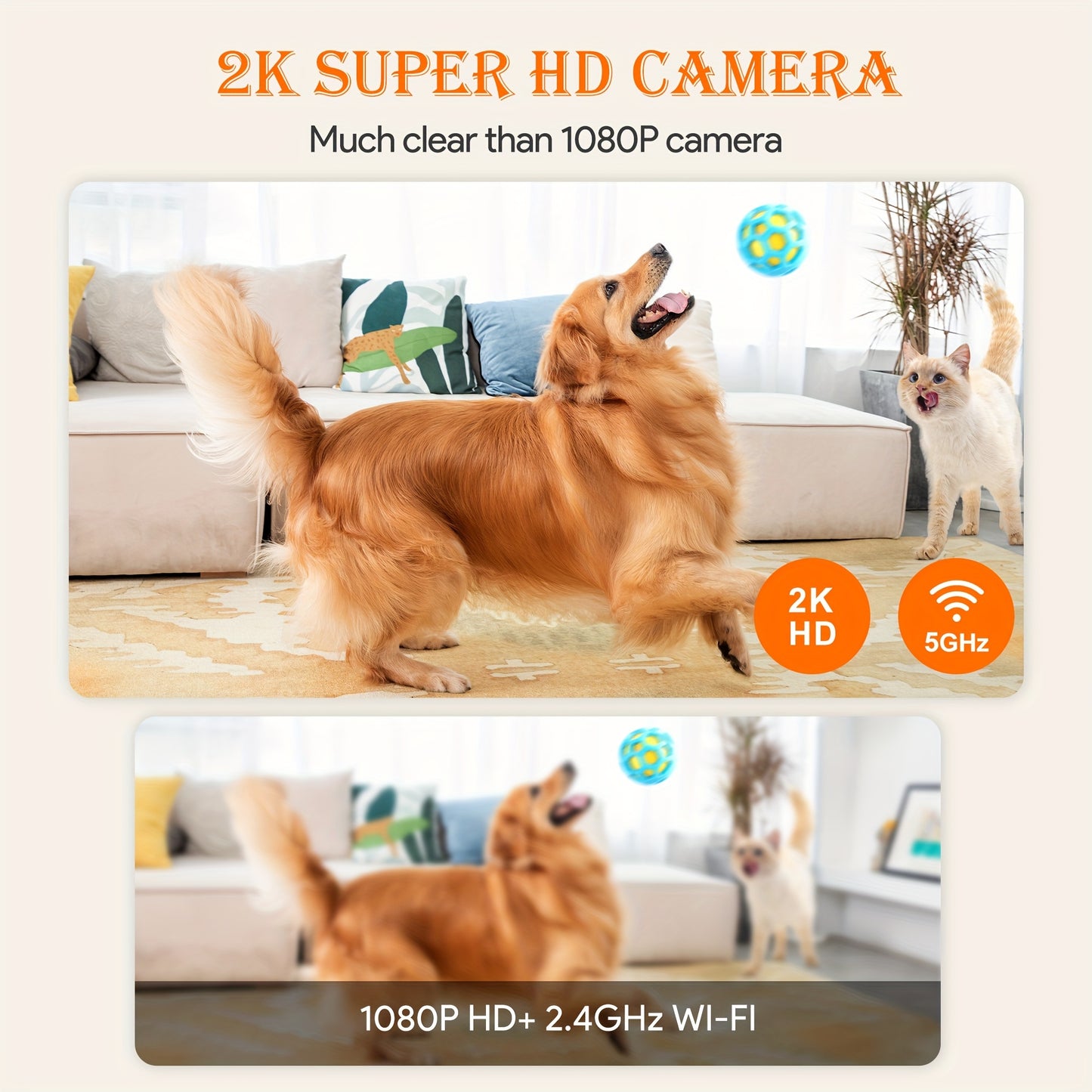 WiFi Dog Camera With Treat Dispenser