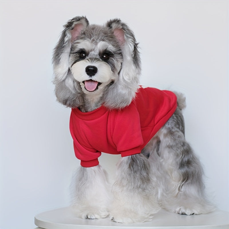 Autumn Plus Velvet Dog Sweater Set