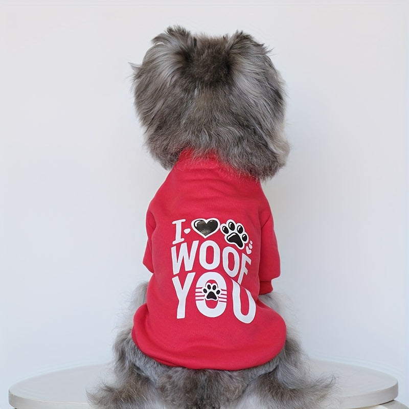 Autumn Plus Velvet Dog Sweater Set