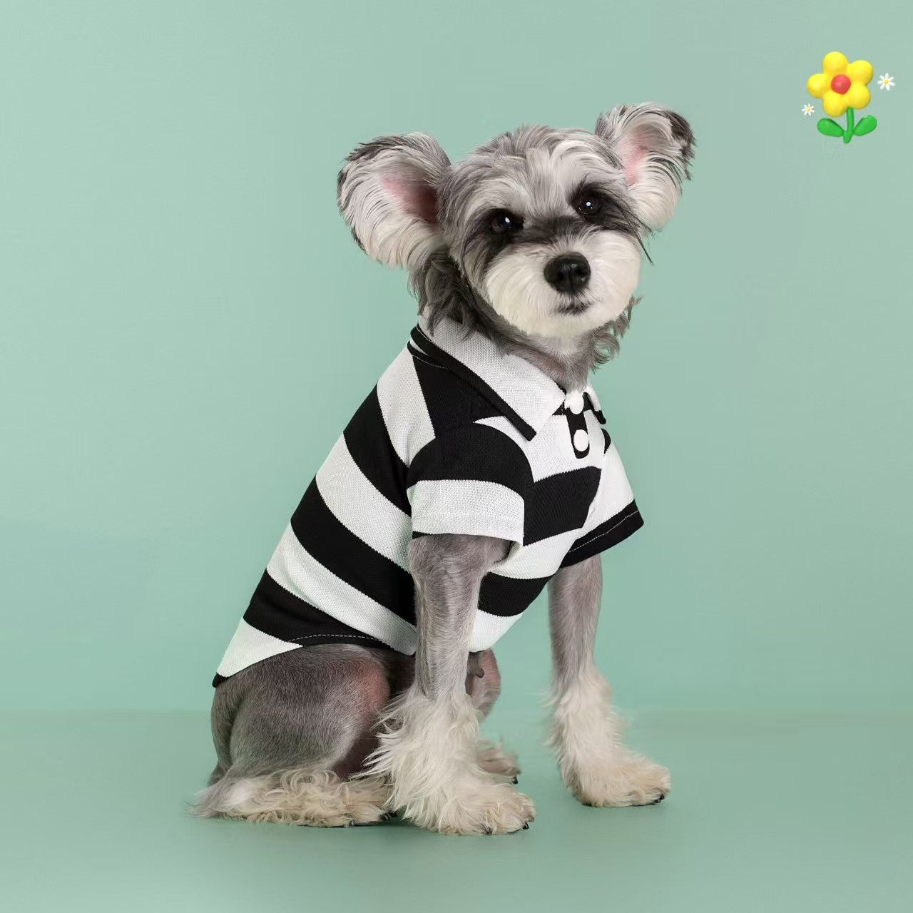 Breathable T-Shirt For Small Dogs