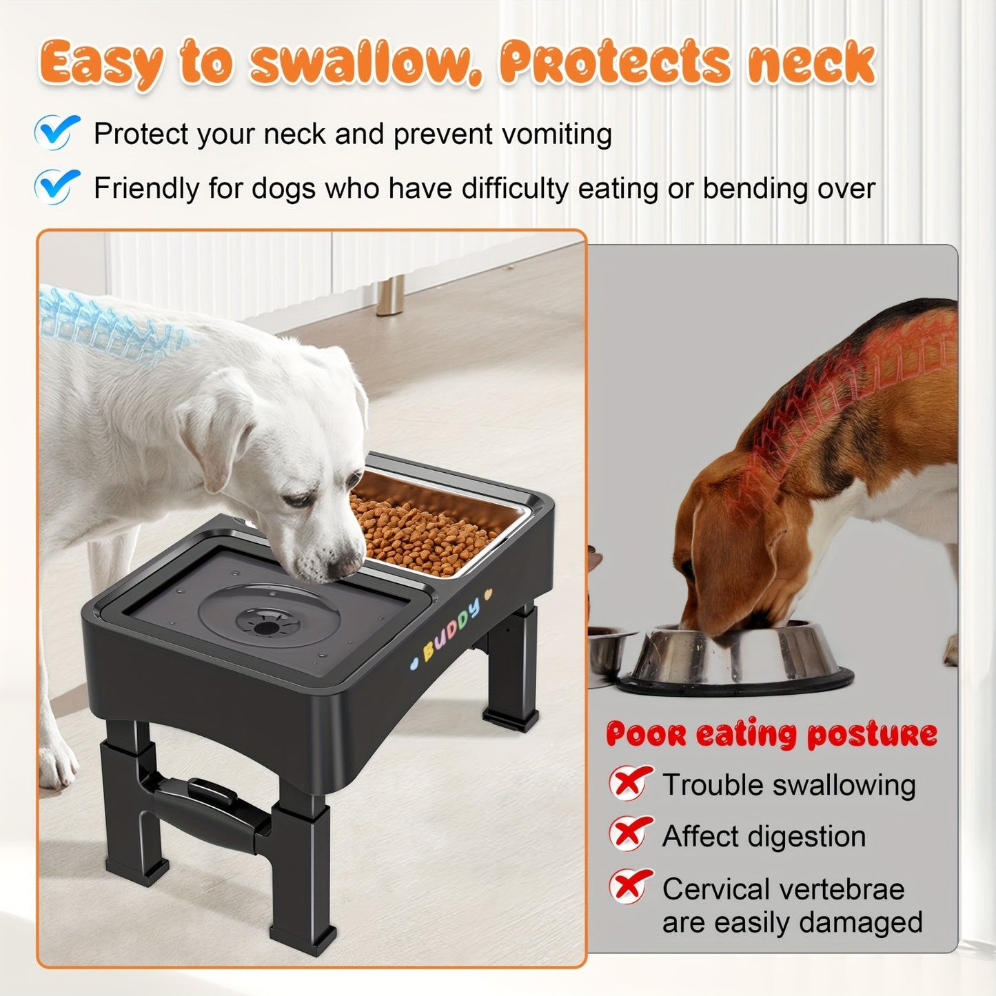 Elevated Food & No-Spill Water Bowl Set