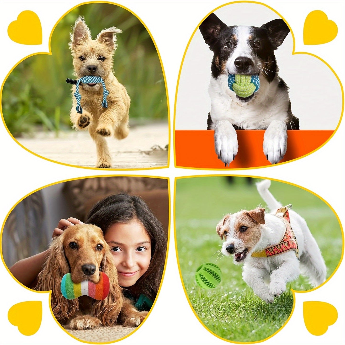 25pcs Luxury Dog Teething Toys