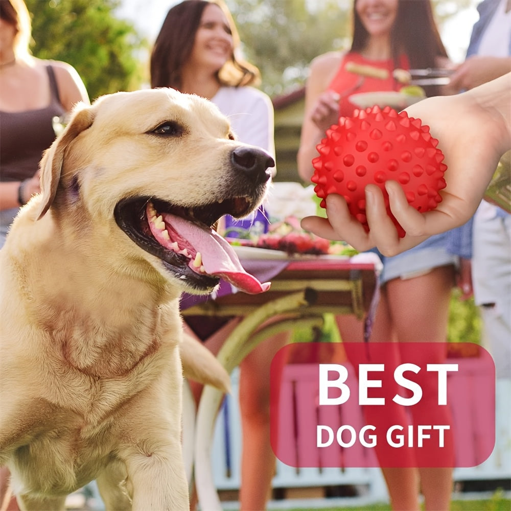 2pcs Squeaky Rubber Dog Balls for Large Breeds