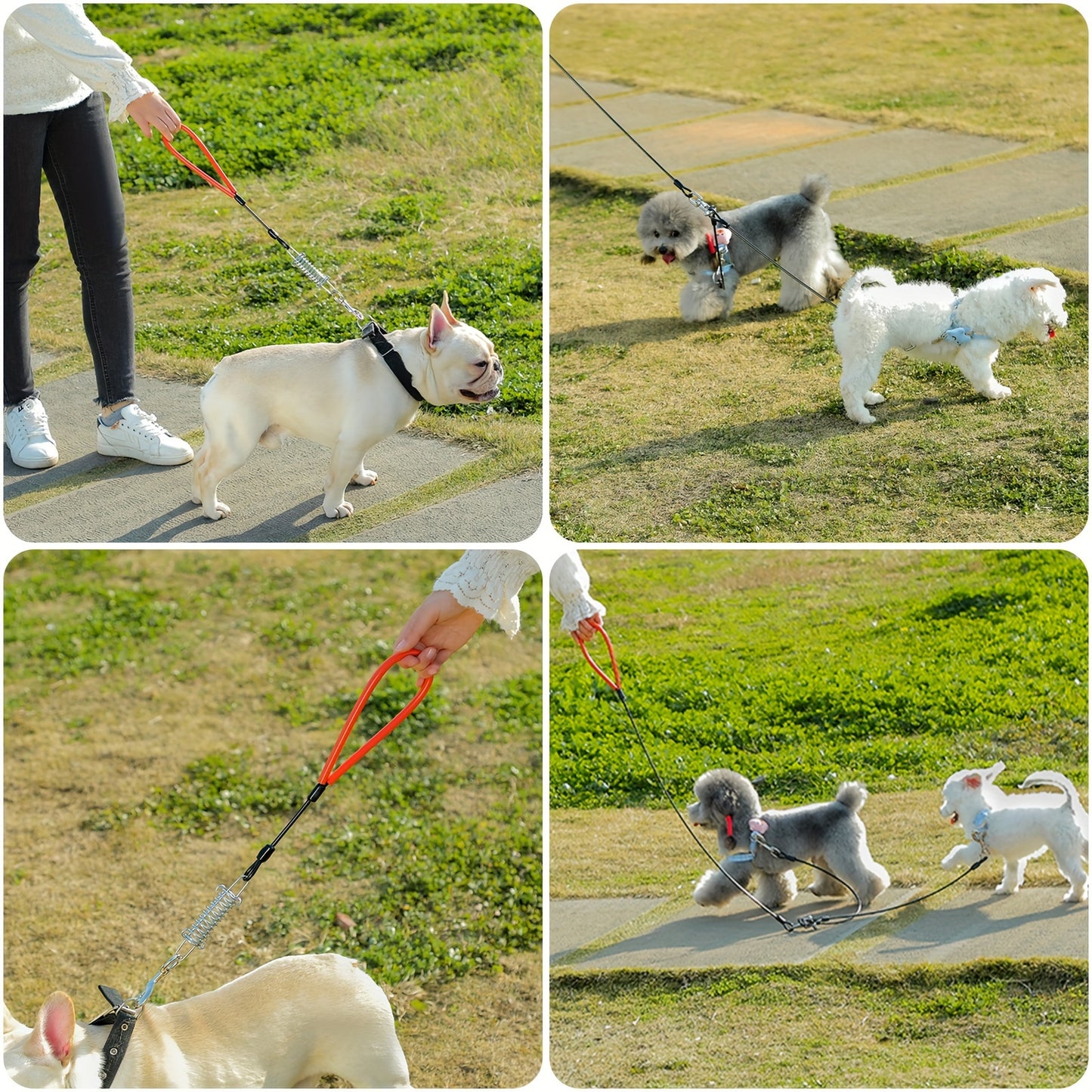 Heavy Duty Leash For Dogs Up To 250 Pound