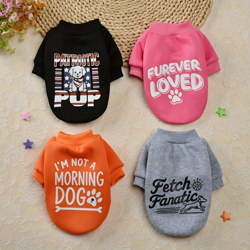 Autumn Plus Velvet Dog Sweater Set