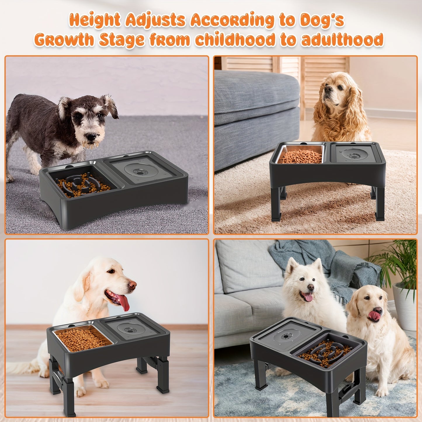 Elevated Food & No-Spill Water Bowl Set