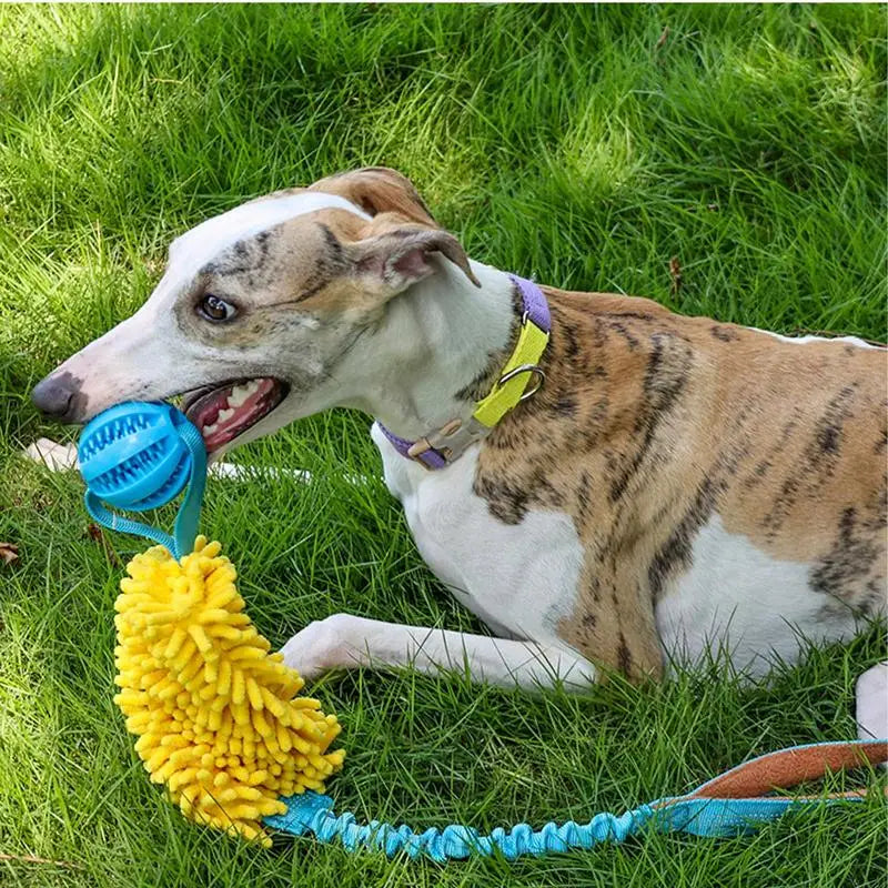 Fun Squeaky Dog Tug Toys