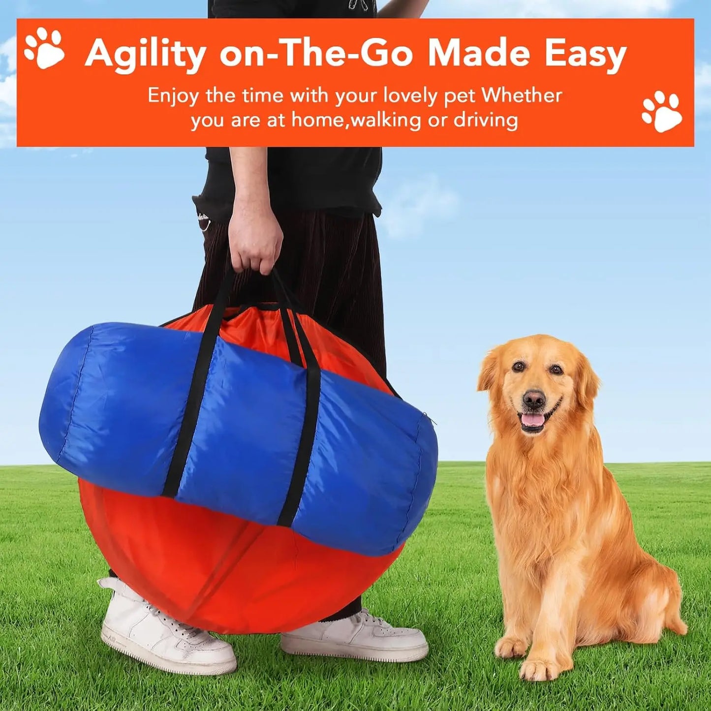 Dog Agile Training Equipment Set