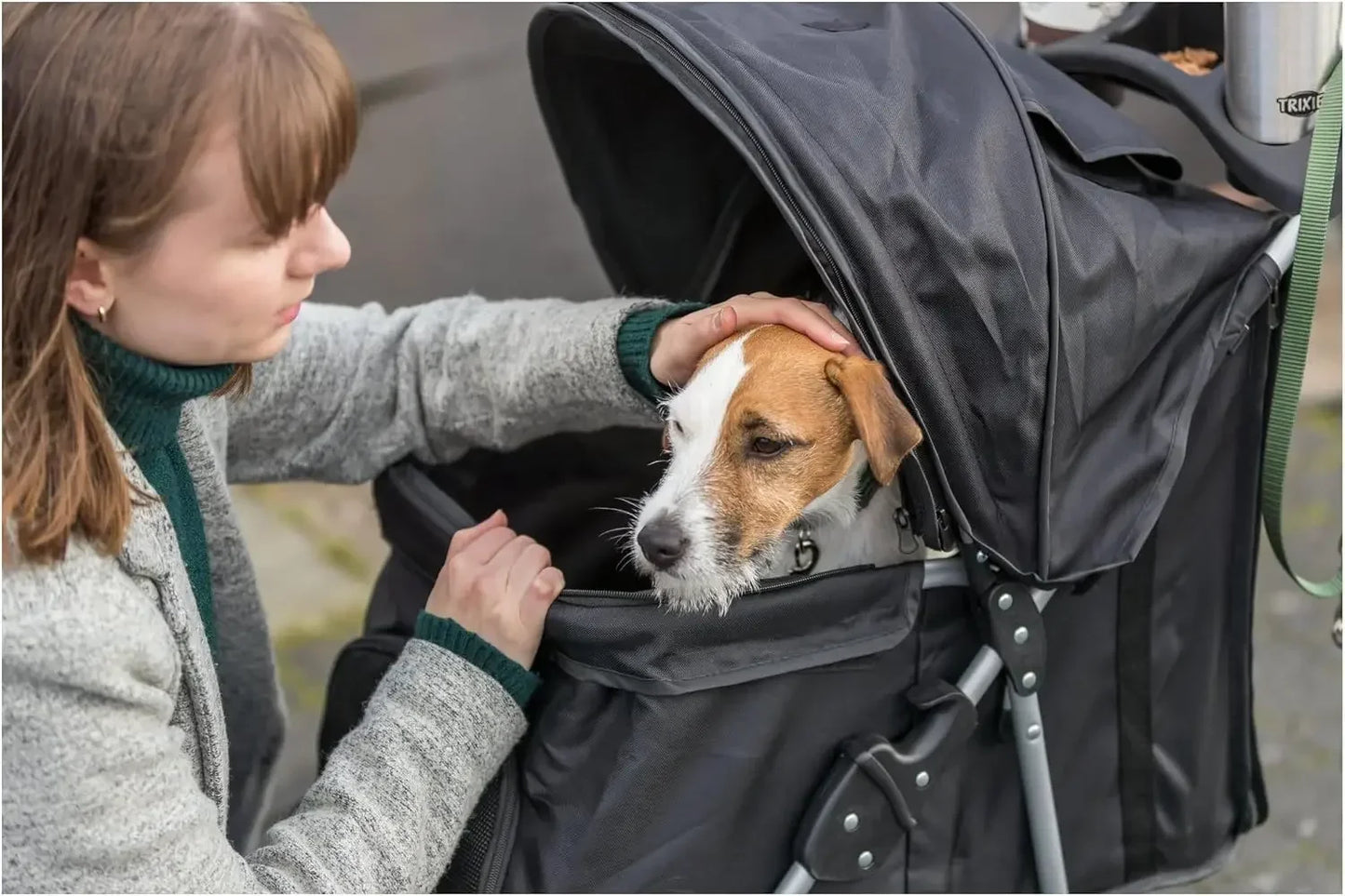 Foldable Pet Stroller for Cats and Dogs