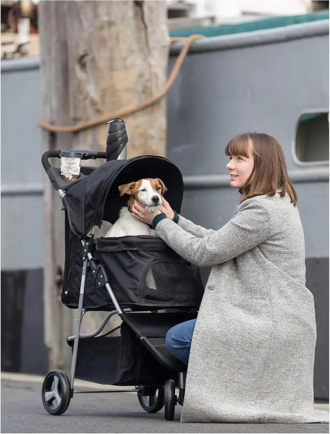 Foldable Pet Stroller for Cats and Dogs