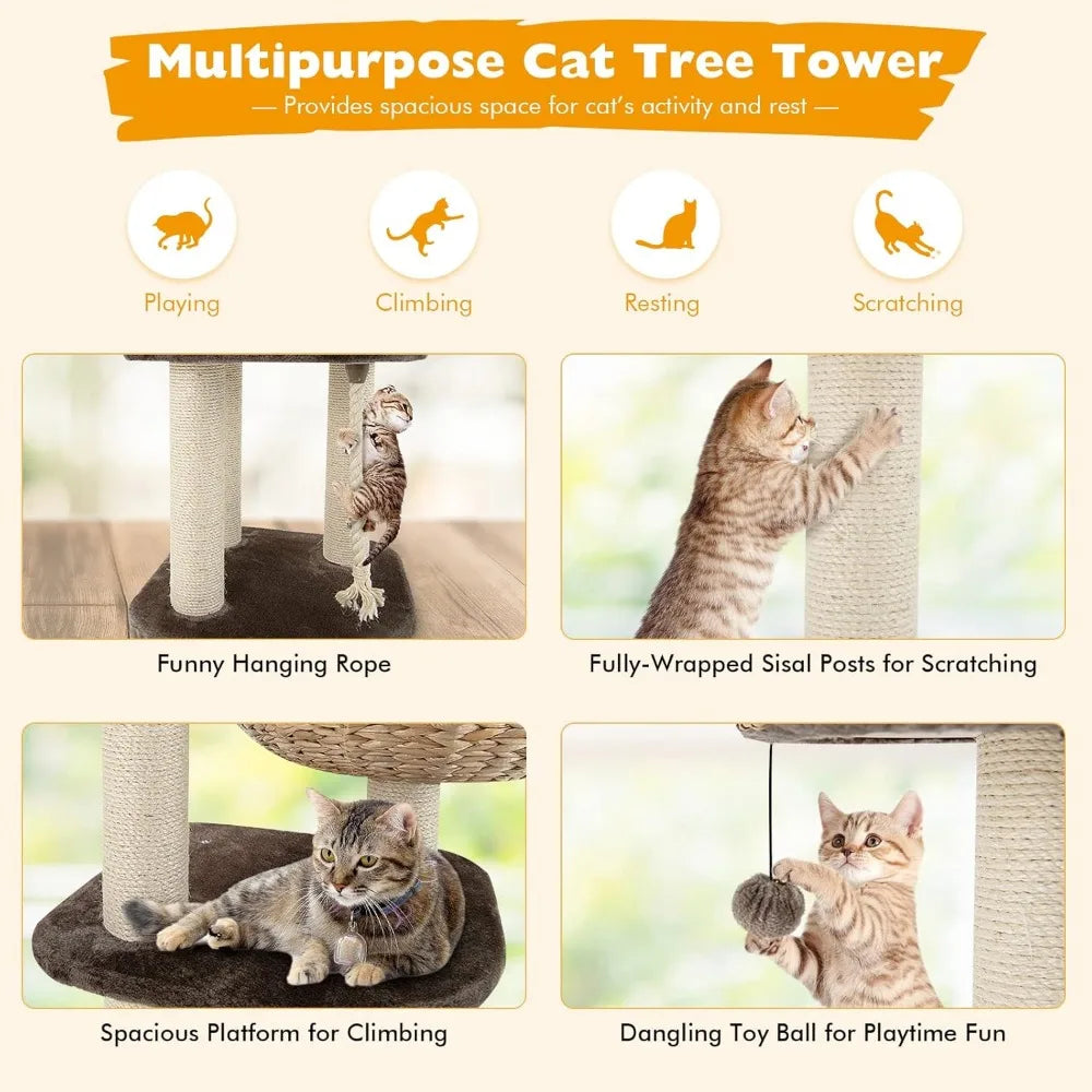 Modern Cat Tree for Indoor Cats