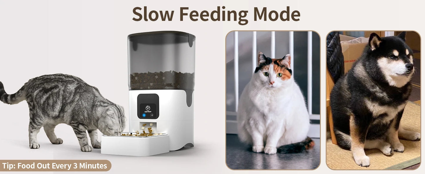 WiFi Pet Feeder with APP Control
