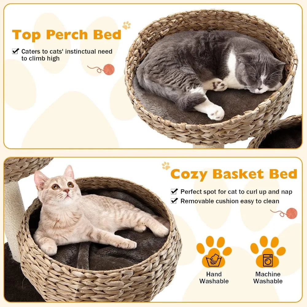 Modern Cat Tree for Indoor Cats