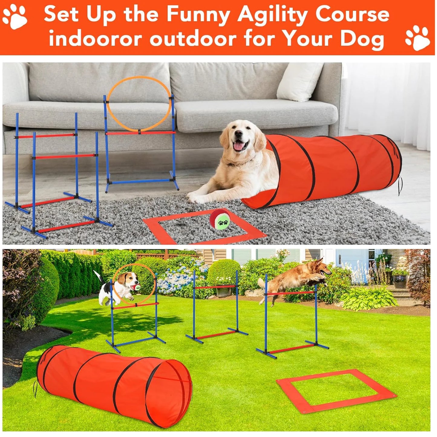 Dog Agile Training Equipment Set