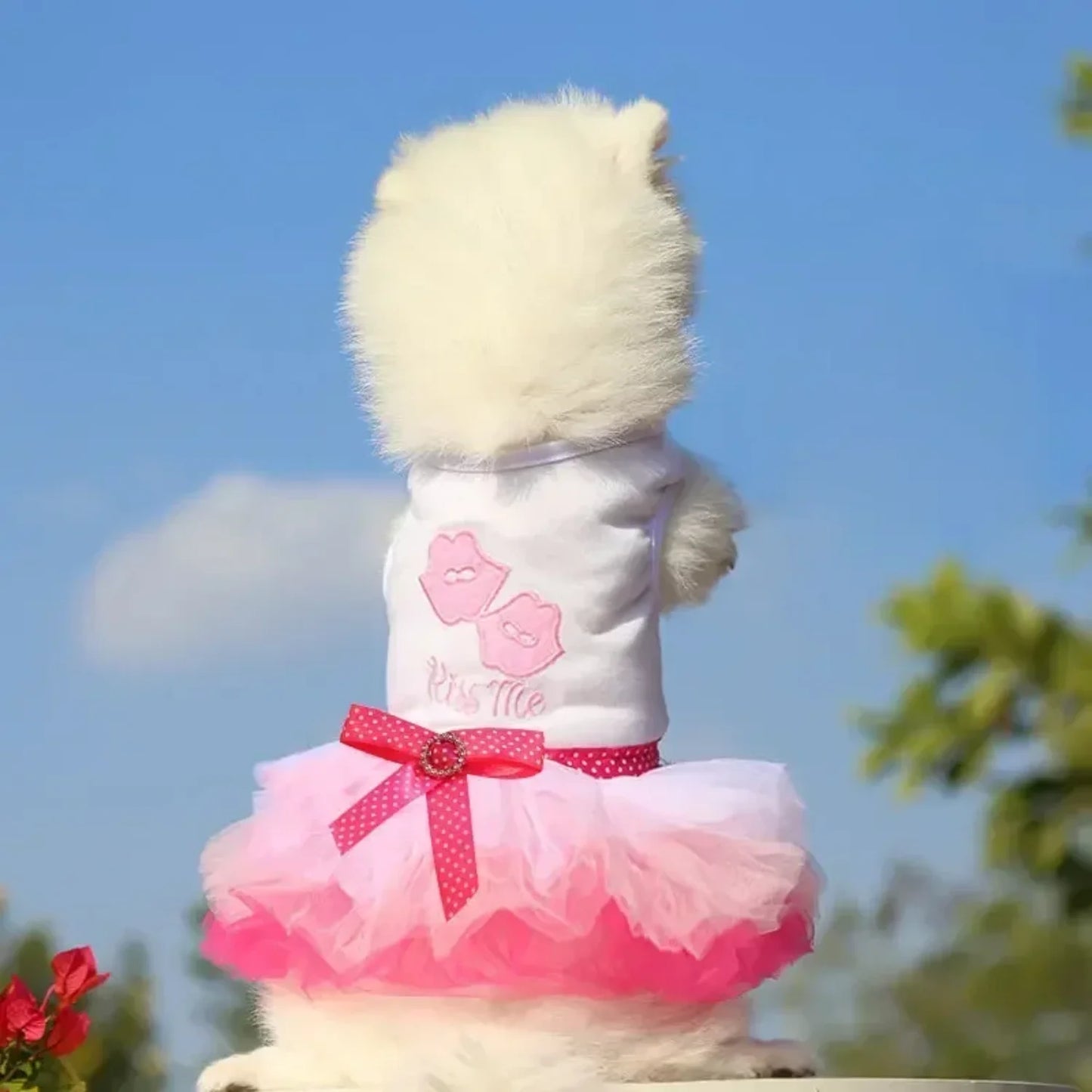 Dog or Cat Dress Lace Skirt