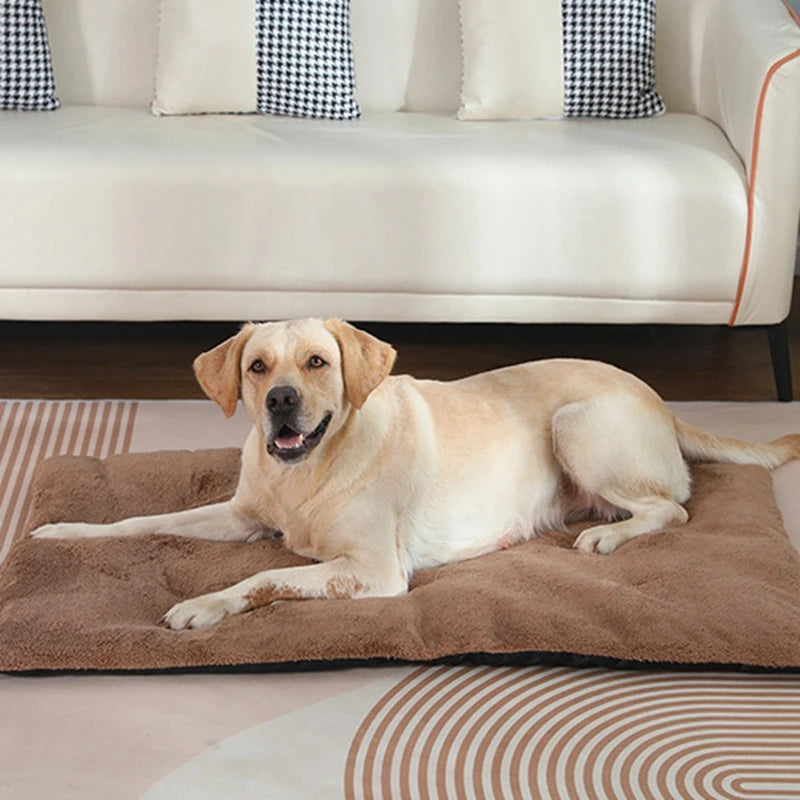 Cats And Dogs Cute Thickened Blanket