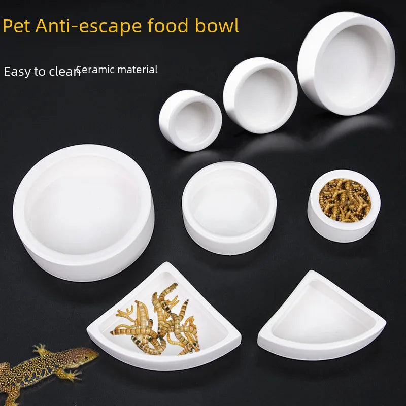 Ceramic Food Basin Dog bowl