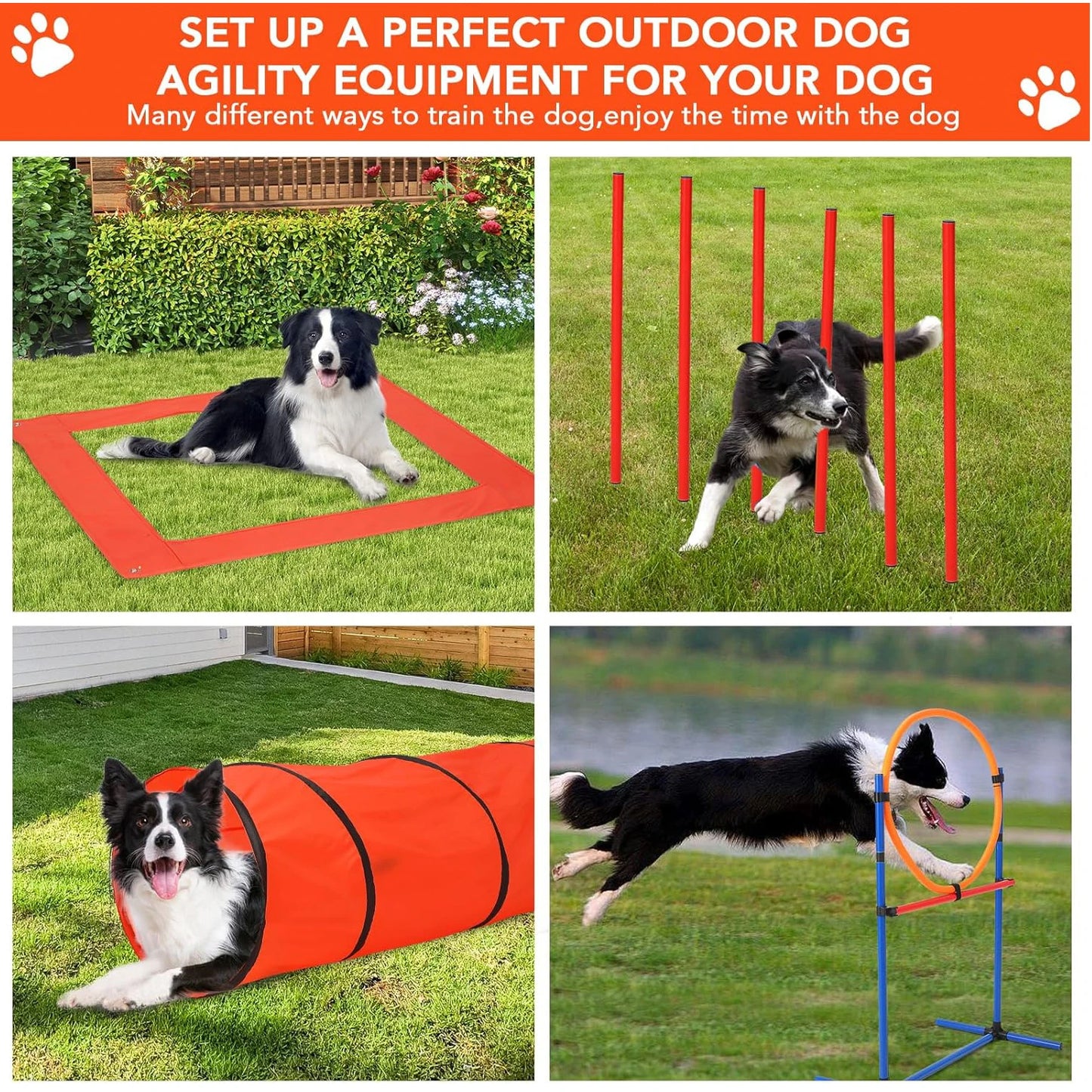 Dog Agile Training Equipment Set