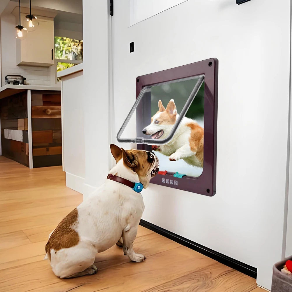 Four-Way Lock Dog Cat Flap for Small Pets