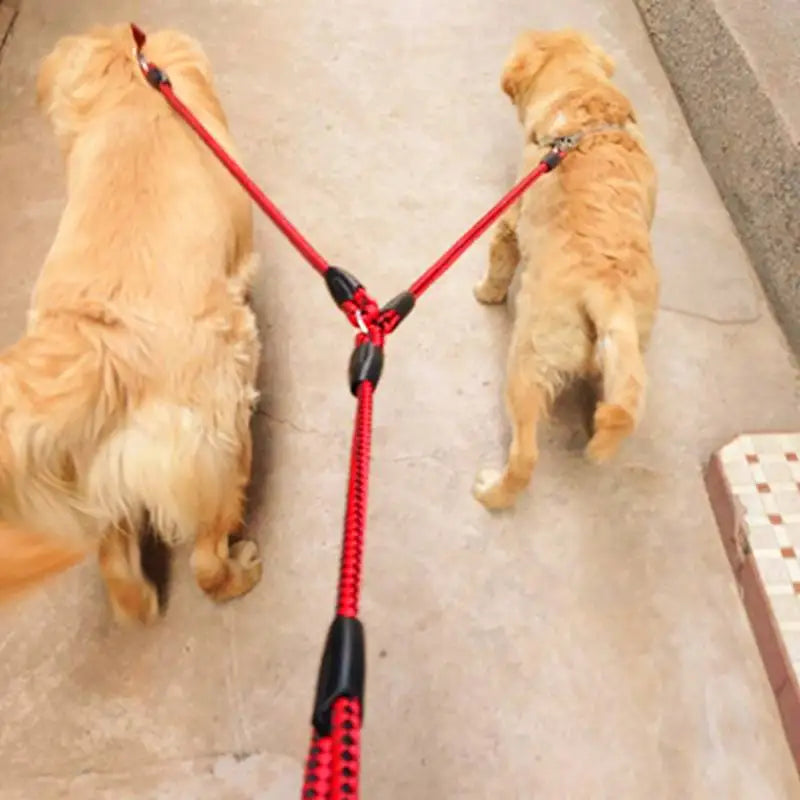 2 Way Couplers Dog Training Leash