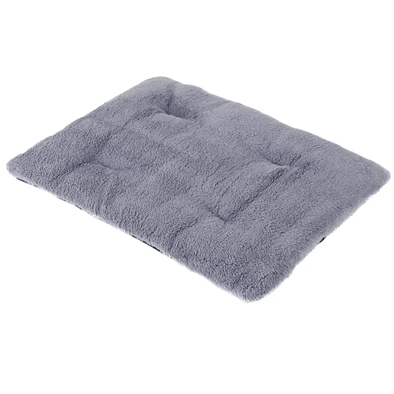 Cats And Dogs Cute Thickened Blanket