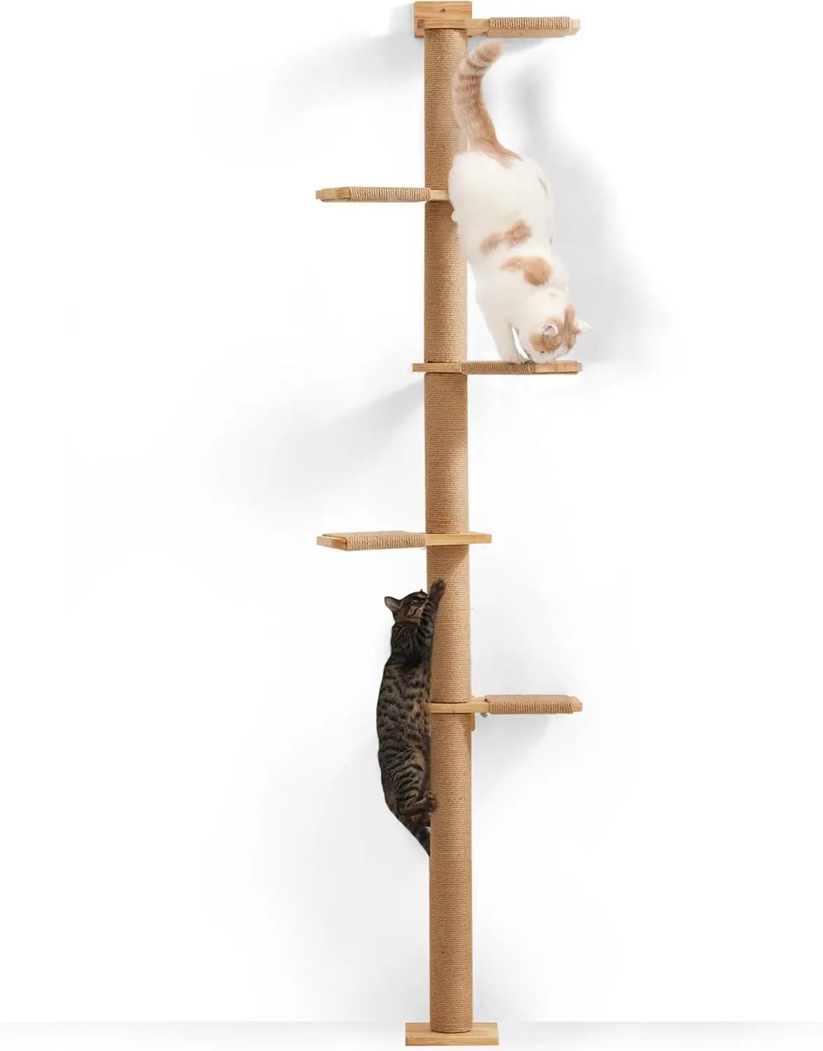 Cat Tree Floor to Ceiling