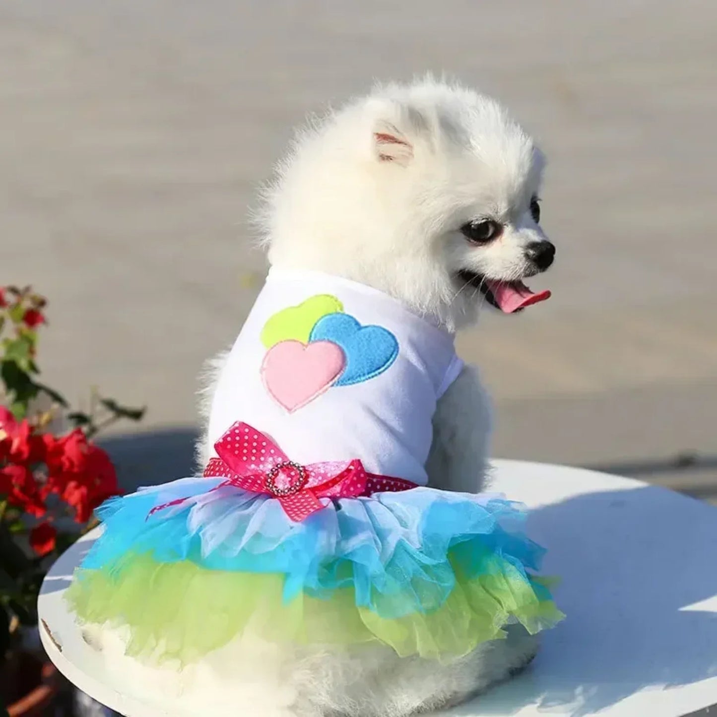 Dog or Cat Dress Lace Skirt