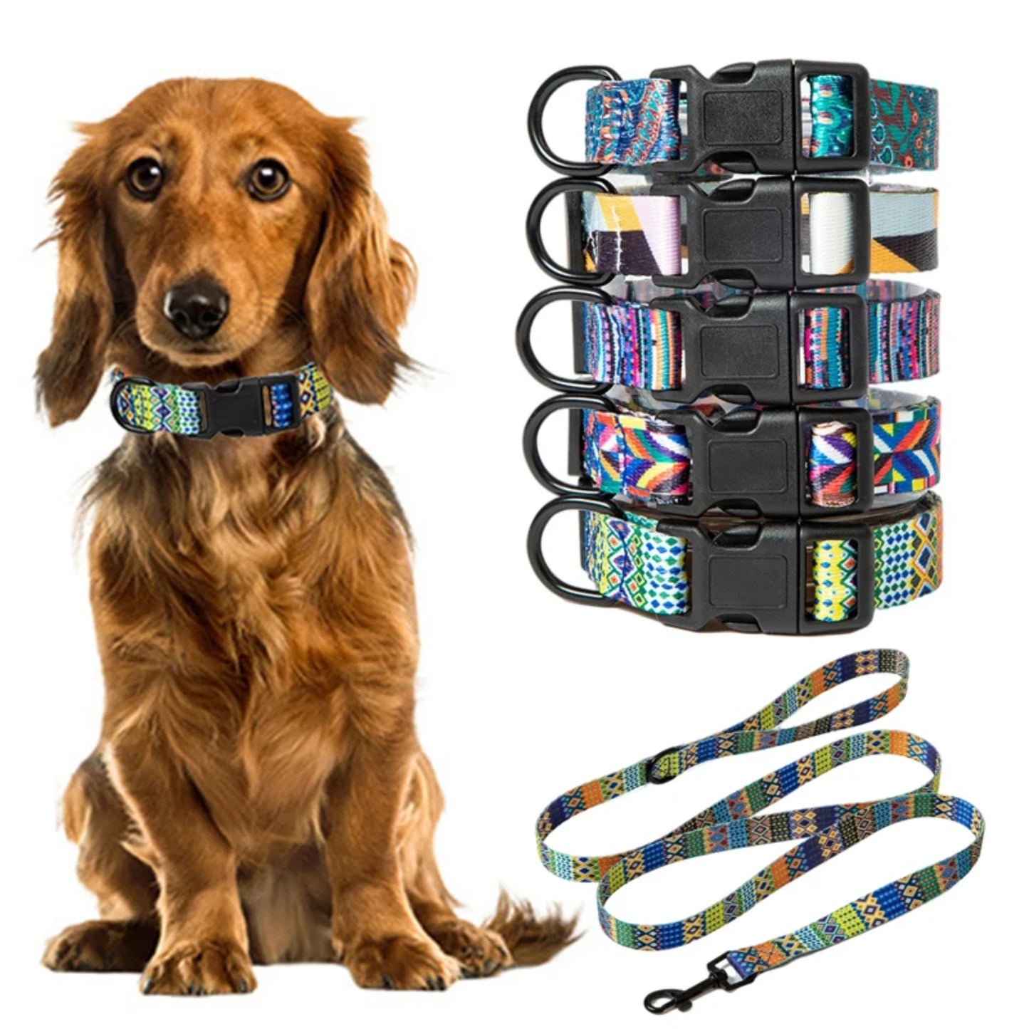 Dog Walker Collar and Leash Set