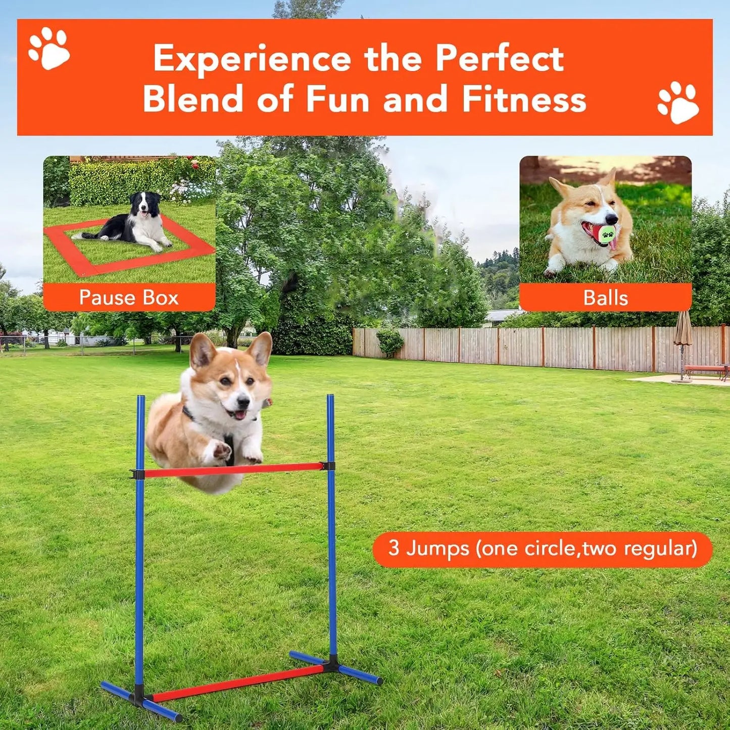 Dog Agile Training Equipment Set