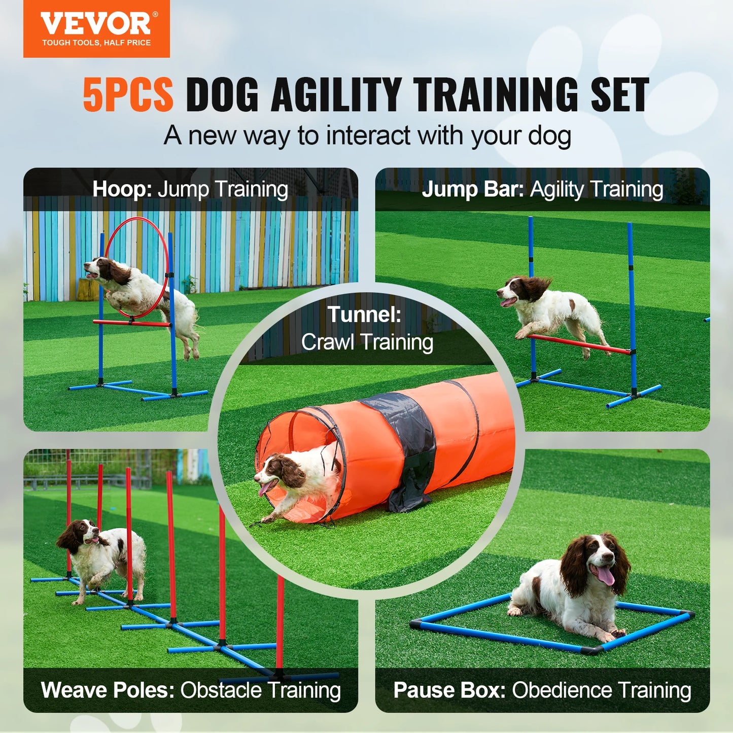 Dog Adjustable Training Equipment