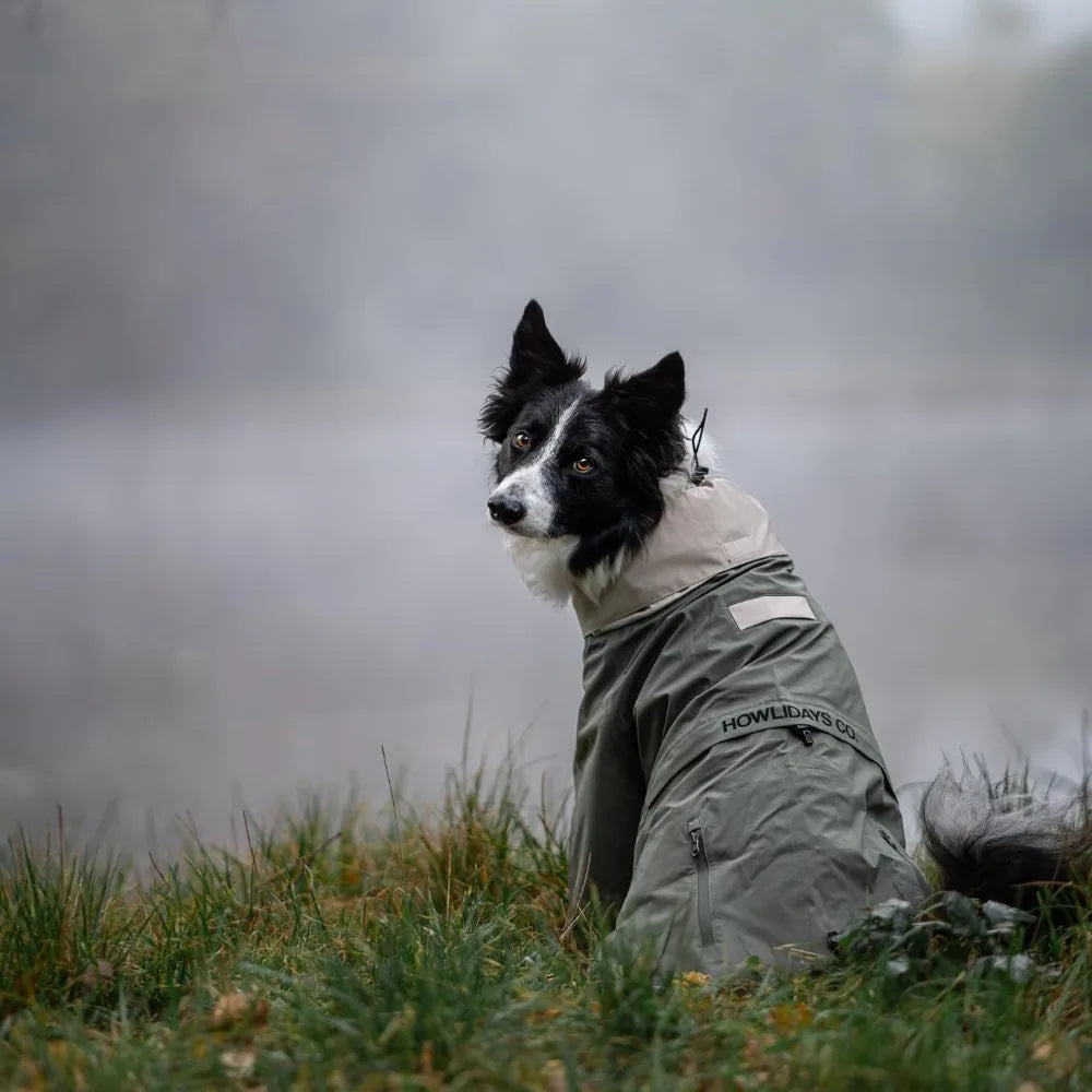 Water-Resistant Dog Raincoat Jacket,