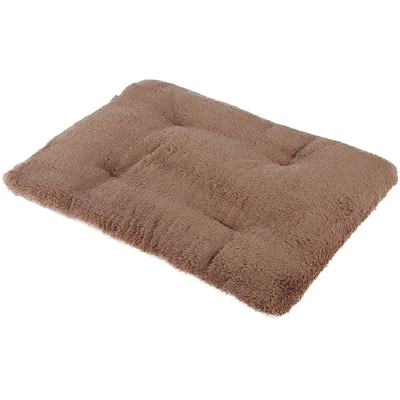 Cats And Dogs Cute Thickened Blanket