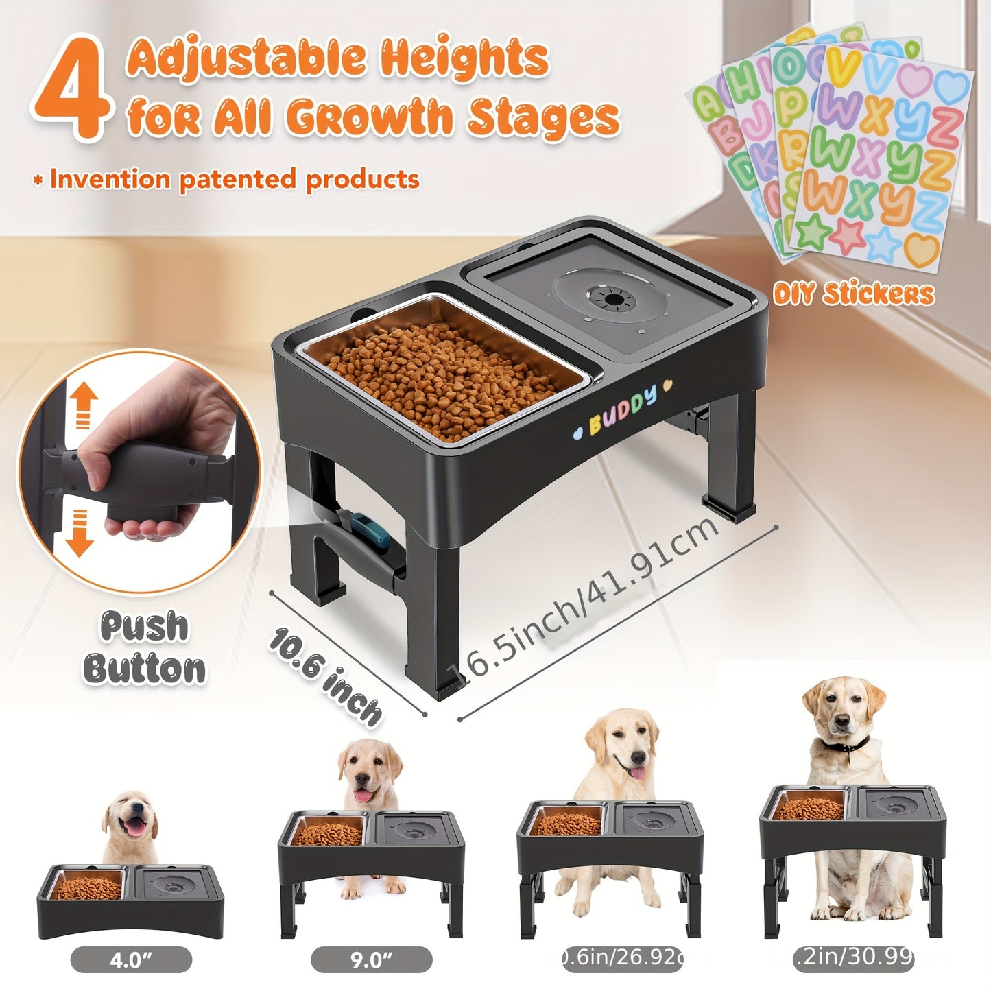 Elevated Food & No-Spill Water Bowl Set
