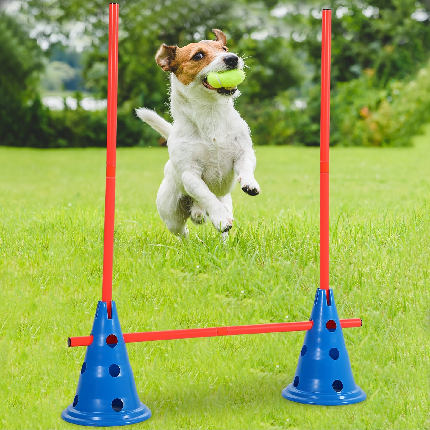 Dog Agility Hurdle Cone Set