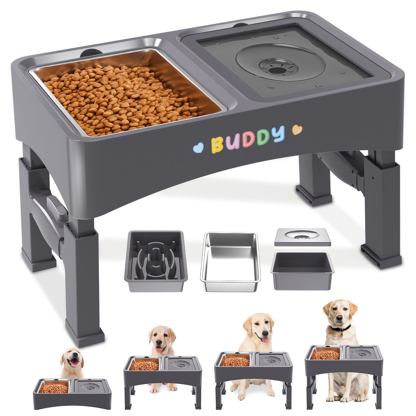 Elevated Food & No-Spill Water Bowl Set