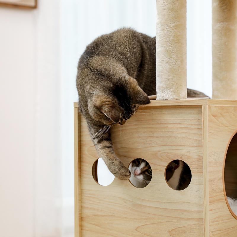 Luxurious and unique cat tower with 3 beds