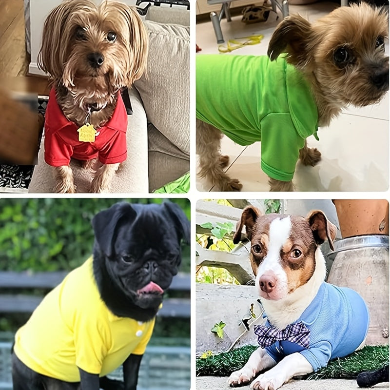 Collared Polo T-Shirts For Dogs