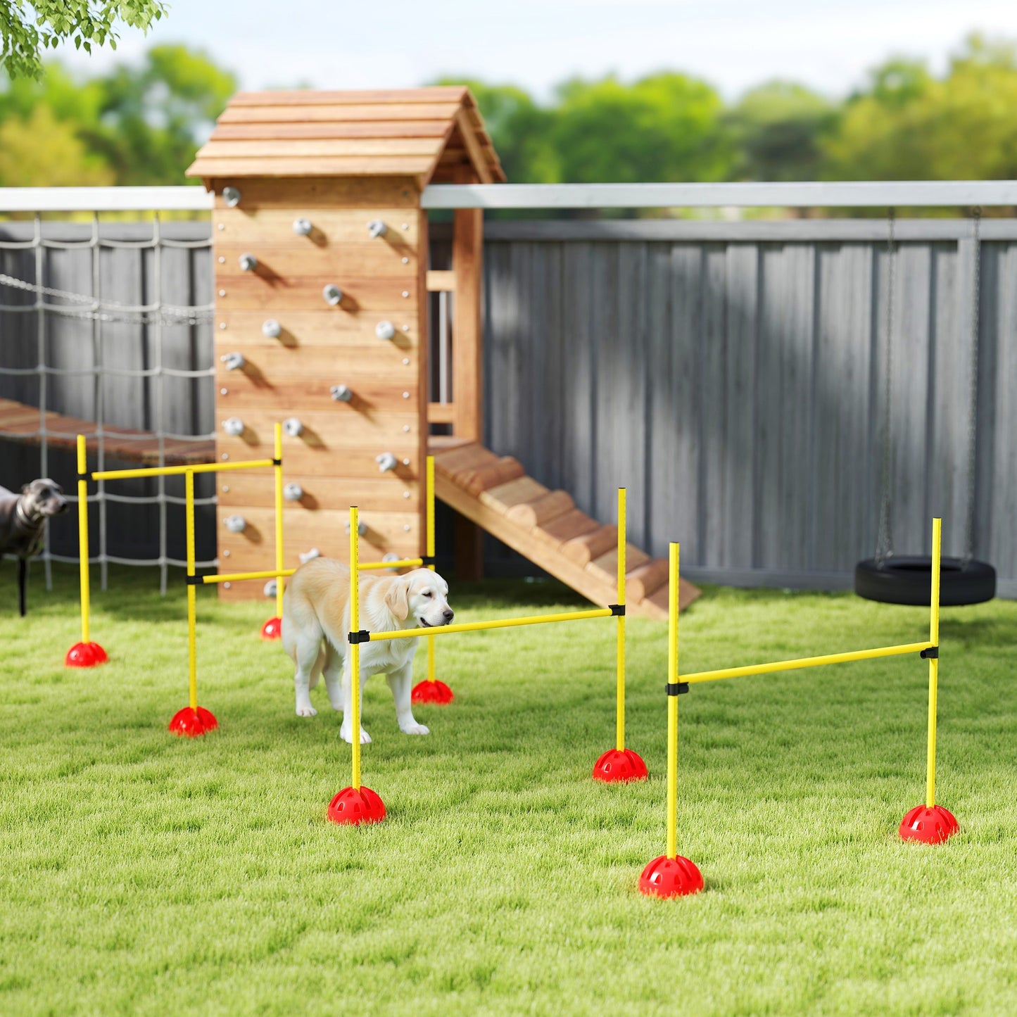 Dog Agility Jump Course w Bag