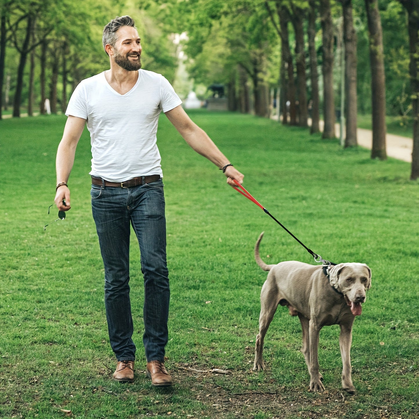 Heavy Duty Leash For Dogs Up To 250 Pound