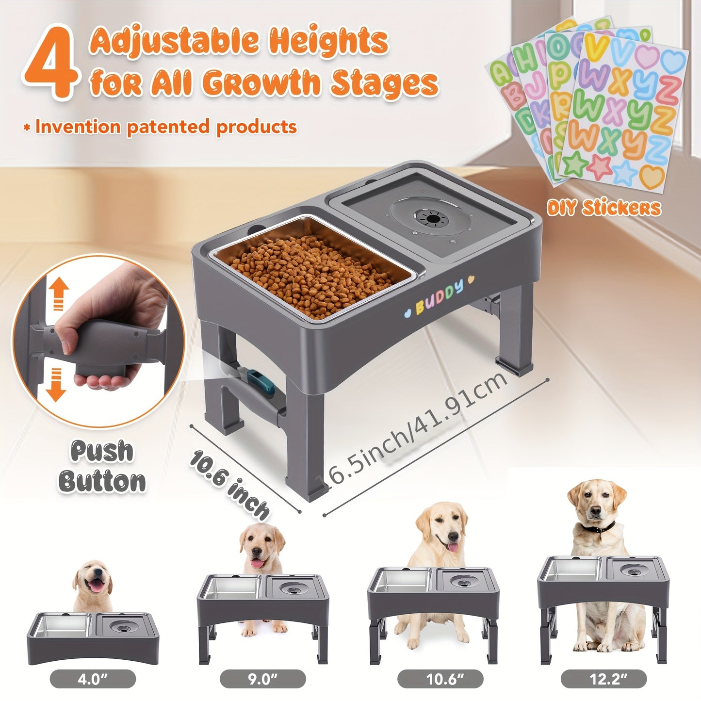 Elevated Food & No-Spill Water Bowl Set