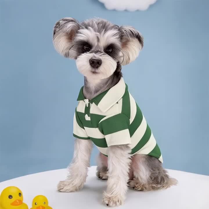 Breathable T-Shirt For Small Dogs