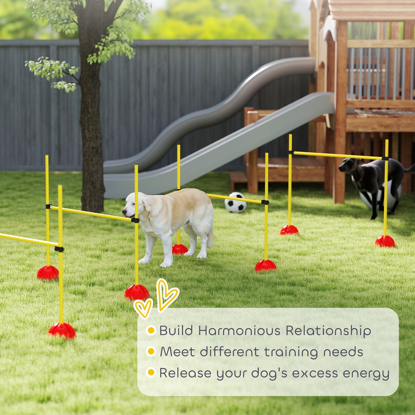 Dog Agility Jump Course w Bag