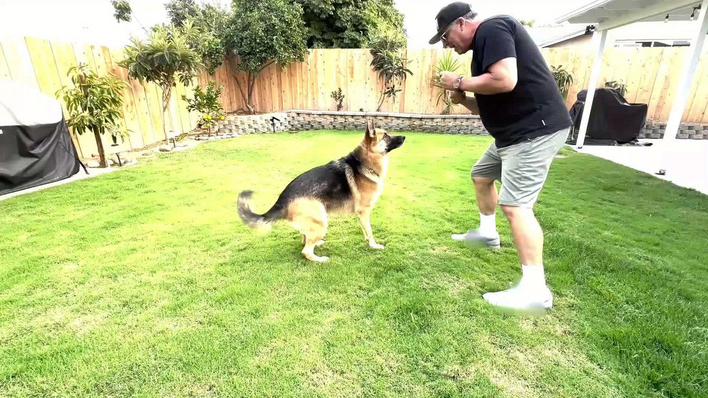 2 Pack Tough Indestructible Toy for Large Dog
